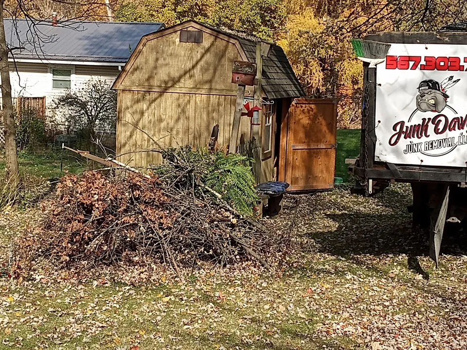 Brush and scrap by the shed, the truck backed in.